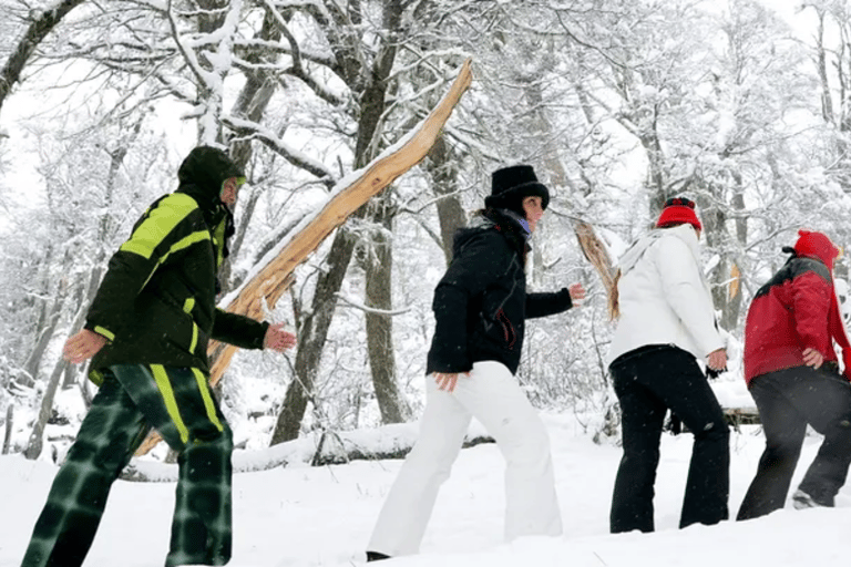 Bariloche : randonnée à la lagune gelée et déjeunerBariloche : Randonnée jusqu&#039;à la lagune gelée et déjeuner