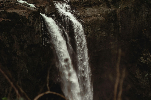 Snoqualmie, Twin Falls & Ancient Forest (Transport Included)