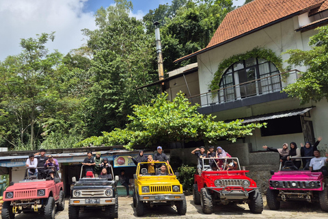 Yogyakarta: Mangunan Pine Forest Jeep Adventure