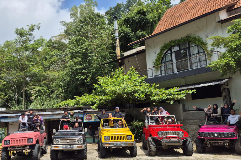 Yogyakarta: Mangunan Pine Forest Jeep Adventure