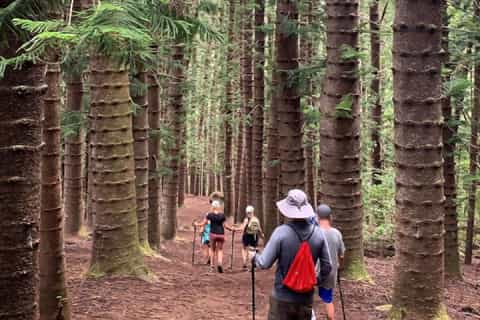 Kauai: Private Hike to Sleeping Giant with Waterfall Option