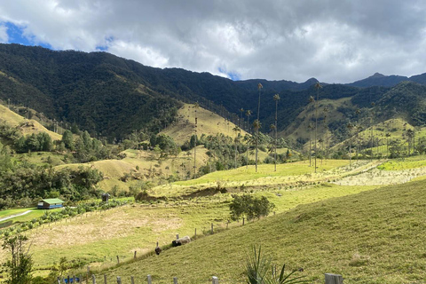Salento: Cocora Valley, Catch Trout for Lunch & Play Tejo