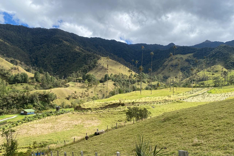 Salento: Cocora Valley, Catch Trout for Lunch & Play Tejo