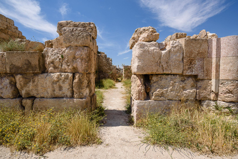 De la mer Morte à Jerash et Amman, excursion d'une journéeTransport uniquement