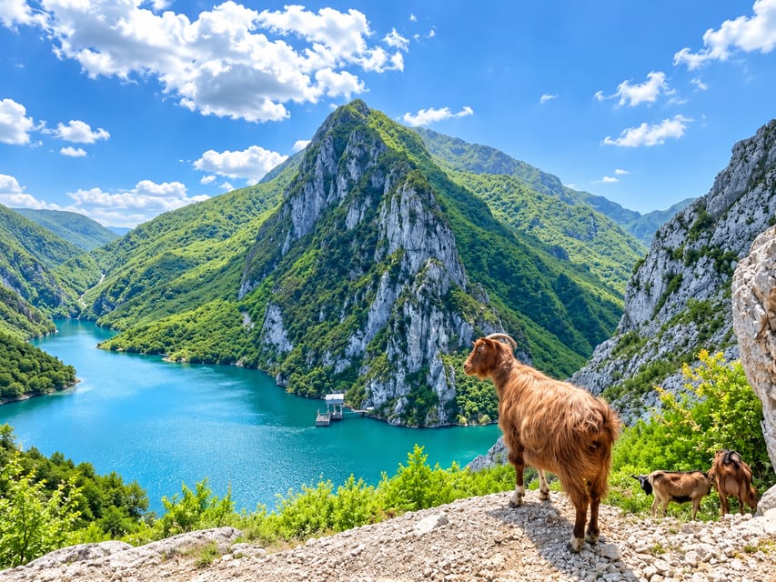 From Tirana/Durres: Bovilla Lake & Gamti Mountain Day Tour - Bovilla Lake and Gamti Mountain near Tirana