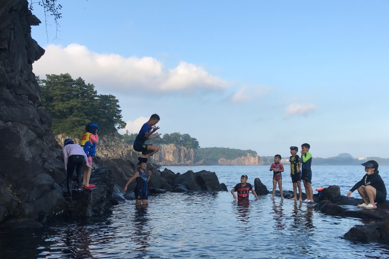 Isla de Jeju: Tour en furgoneta con el guía que más ama JEJU