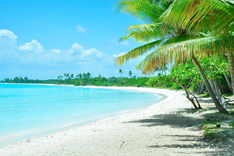 Punta Cana: Saona Island Tour with Lunch and Drinks