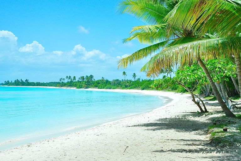Punta Cana: Saona Island Tour with Lunch and Drinks