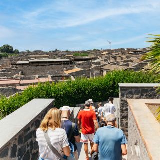 Scavi archeologici di Pompei e Vesuvio: tour da Napoli