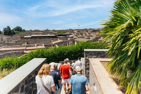 Depuis Naples : journée de visite des ruines de Pompéi et du VésuveVisite guidée en espagnol - Prise en charge à la gare centrale