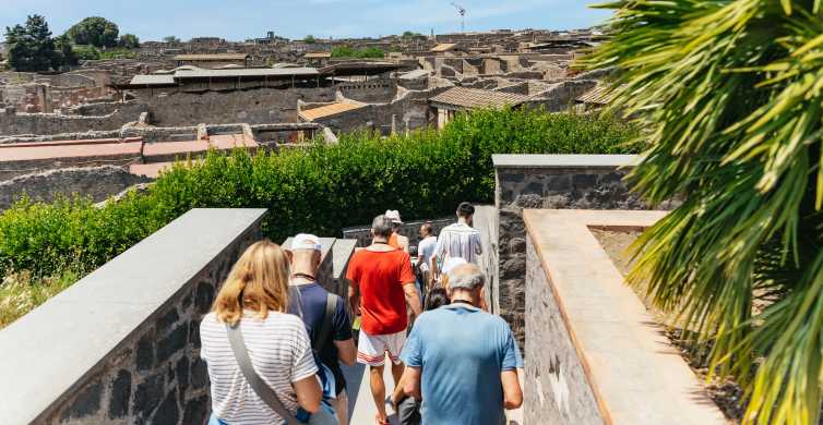 From Naples Pompeii Ruins & Mount Vesuvius Day Tour GetYourGuide