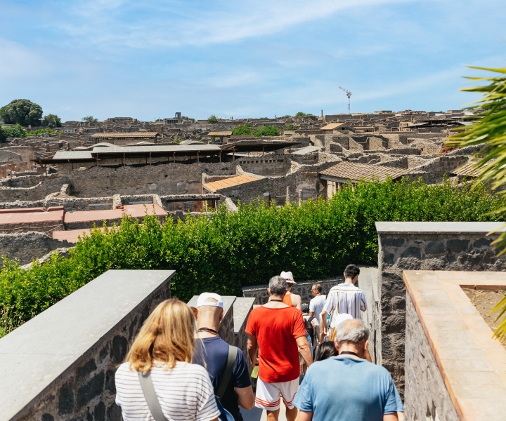 Ab Neapel: Ruinen von Pompeji & Vesuv Tagestour