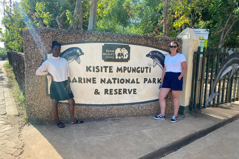 Diani: obserwacja delfinów i nurkowanie z rurką na wyspie Wasini