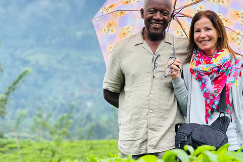 Colombo: Tea Factory Tour with City or Food Tour Option