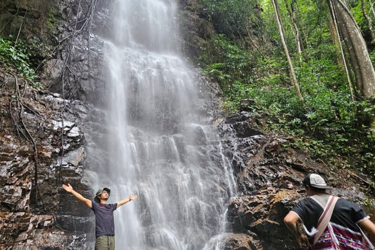 Chiang Mai: Mae Kampong Village Trek & Local Food Experience