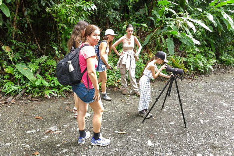 Från San José till Manuel Antonio nationalpark Guidad tur