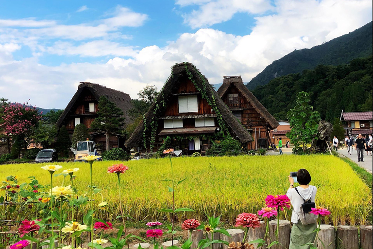 Nagoya 1-Day Trip: Hida Takayama and Shirakawa-go Village