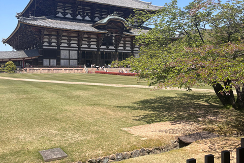 Japón: Tour culinario de 6 días con chef en Tokio y Kioto