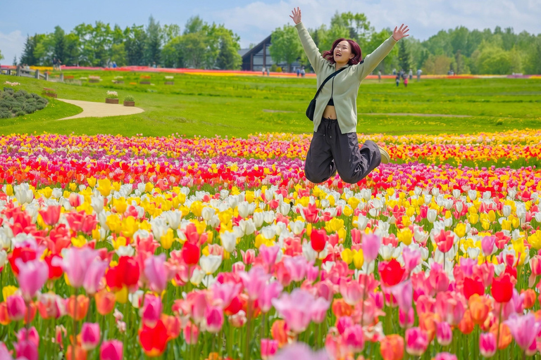 From Sapporo: Hoheikyo Dam, Jozankei & Lake Shikotsu Tour Shared Tour, Meet at Sapporo Station