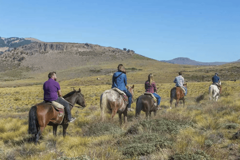 Bariloche: Patagonia Horseback Ride with Lunch & Pickup