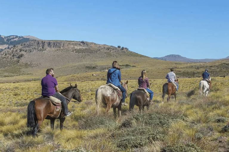 Bariloche: Patagonia Horseback Ride with Lunch & Pickup
