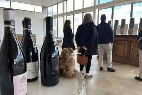 Von Paris aus: Tagestour mit Wein- und Käseverkostung in Burgund und Chablis