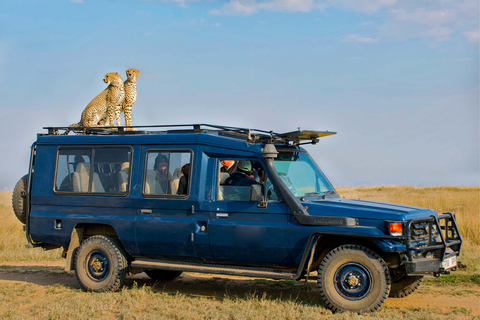 3 Days - Lake Manyara, Ngorongoro Crater and Tarangire
