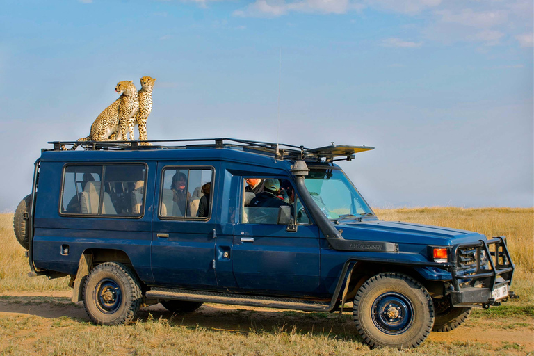 3 Days - Lake Manyara, Ngorongoro Crater and Tarangire