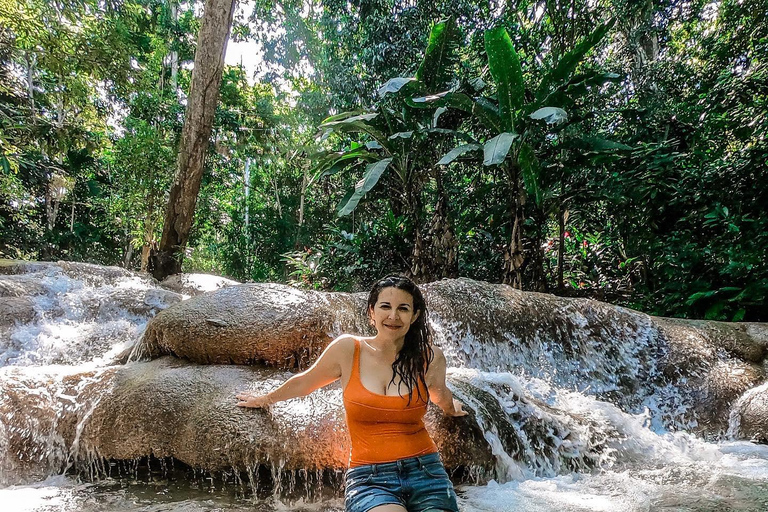 Dunn’s River Falls and Dolphin Cove Swim Adventure From Montego Bay/ Falmouth/ Trelawny