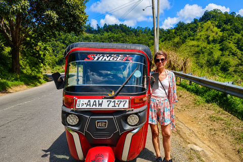 Ella: Hidden Trails Tuk-Tuk Tour with Waterfalls