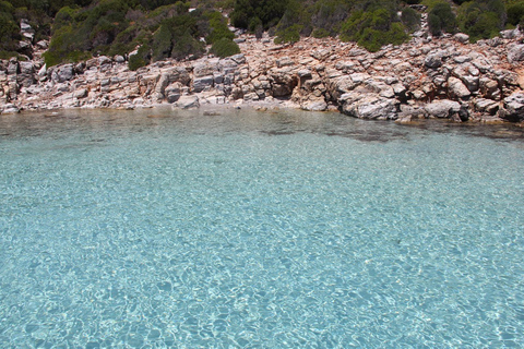 Bodrum Full-Day Orak Island Boat Tour with Lunch