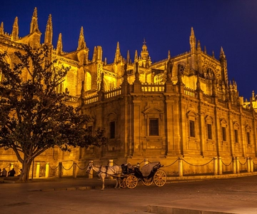 Priority Access Cathedral & Giralda Tour