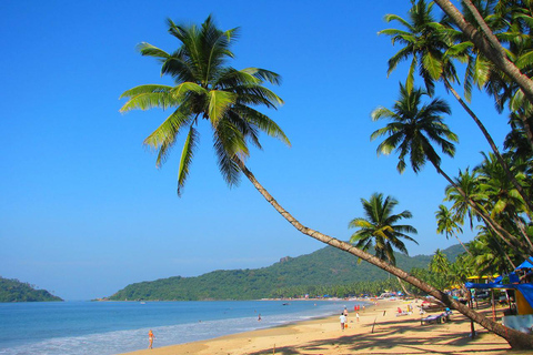 Desde Delhi: Tour de lujo de 5 días por Goa con vuelos y trasladosDesde Delhi: tour de lujo de 5 días a Goa con vuelos y traslados