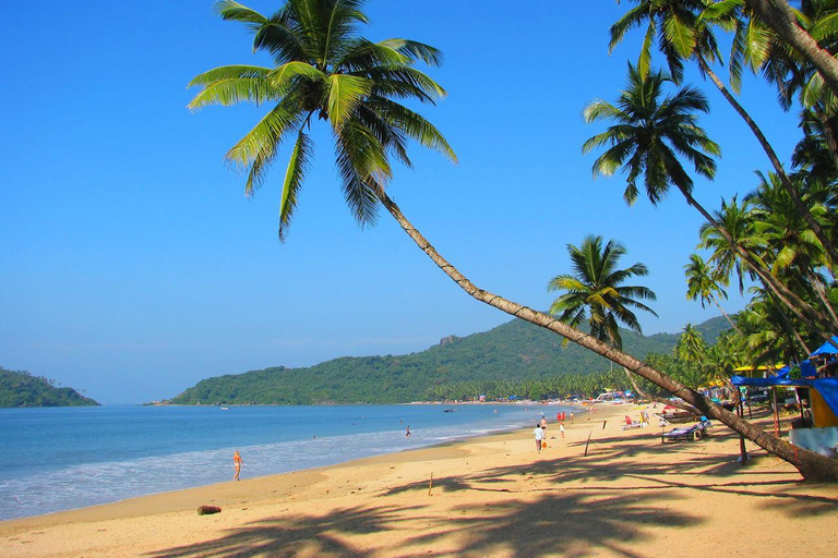 Desde Delhi: Tour de lujo de 5 días por Goa con vuelos y trasladosDesde Delhi: tour de lujo de 5 días a Goa con vuelos y traslados