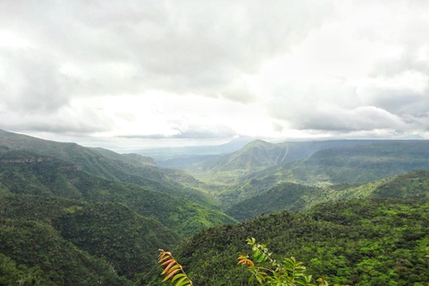 Explorez le sud-ouest avec un déjeuner local et une dégustation de rhum