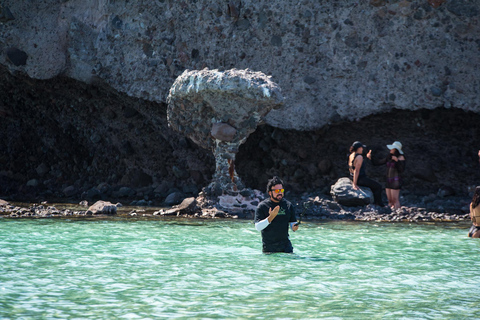 La Paz: Espiritu Santo Island Tour