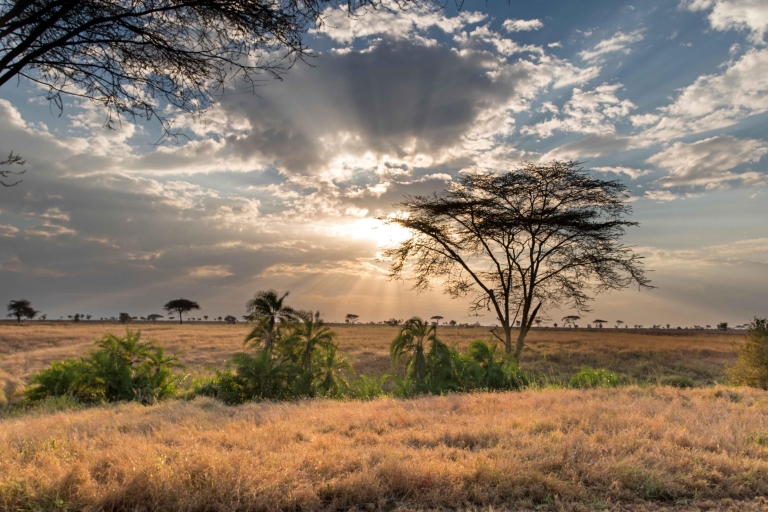 Desde Zanzíbar: Safari de un día a Mikumi