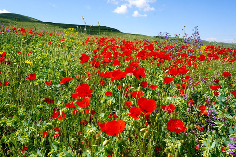 Yerevan: Azhdahak Mountain Hike with Jeep Ride