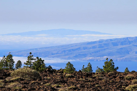 Halve dag tour naar de berg Teide