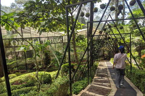 Bandung: Tour del vulcano Tangkuban Parahu e delle aree circostanti