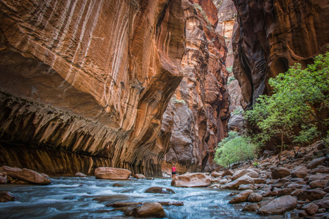 Vanuit Las Vegas: dagtrip naar Zion National Park