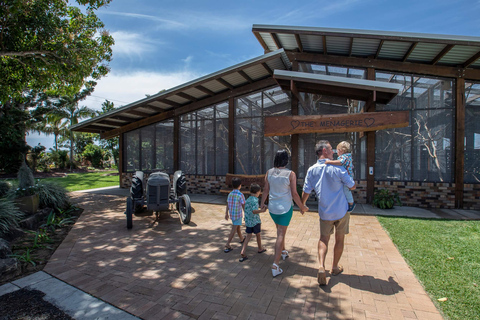 Airlie Beach: Autobús turístico Hopper con almuerzo