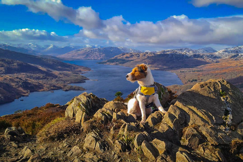 Tour privado de las Highlands, Lochs y Castillos desde Edimburgo