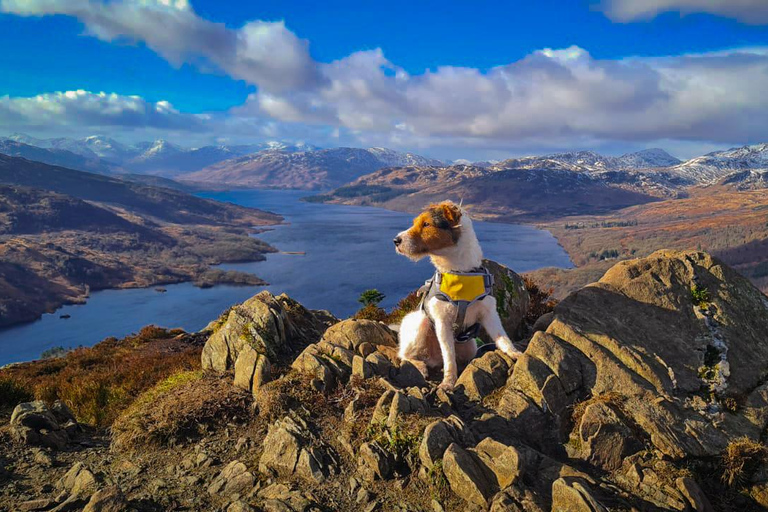 Tour privado de las Highlands, Lochs y Castillos desde Edimburgo