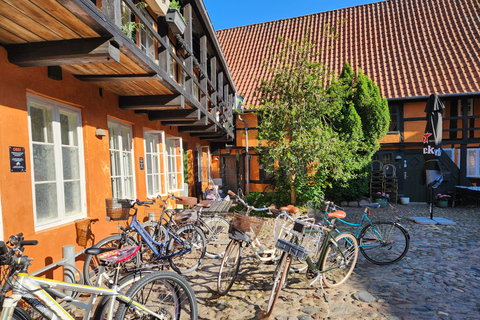 Aarhus Highlights: History, Architecture & Danish Life