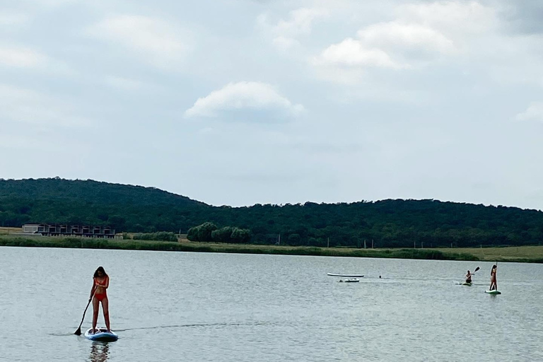 Tbilisi: Bazaleti Lake Stand-Up Paddleboarding Tour