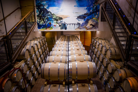 Full tour of the estate and wine tasting at Château Camplazens Visit Julius - Château Camplazens AOP La Clape