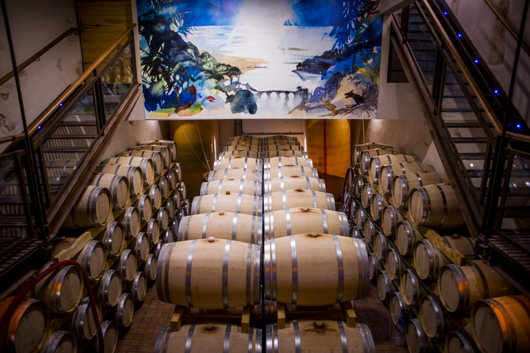 Full tour of the estate and wine tasting at Château Camplazens Visit Julius - Château Camplazens AOP La Clape