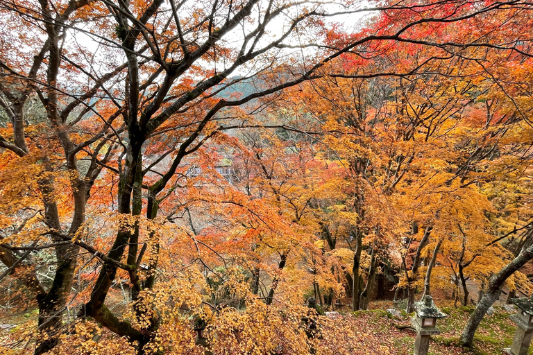Asuka: Discover Origin of Japan–Historical Site and Nature
