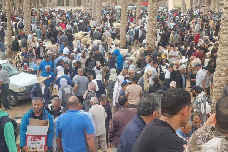 From Djerba: Douz, Matmata Star Wars Sites & local market